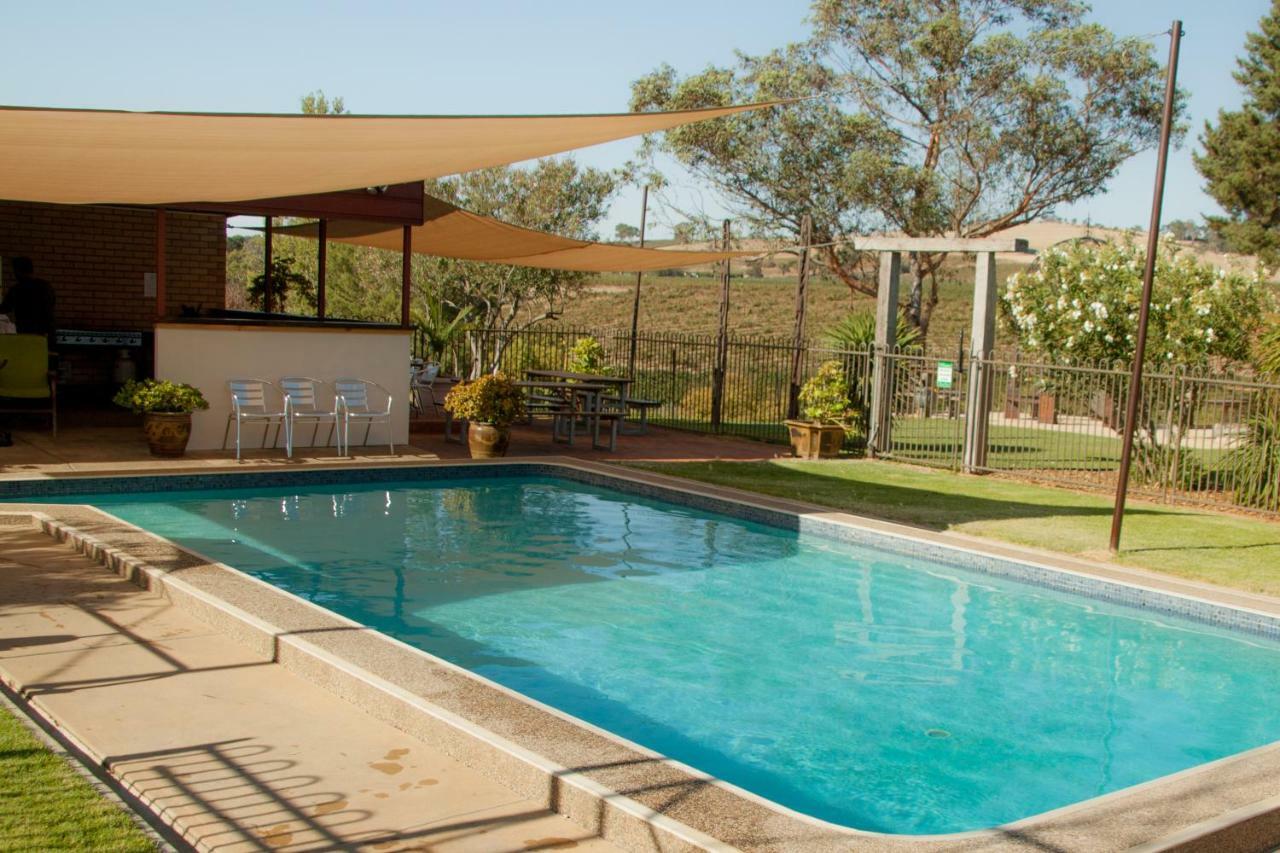 Angaston Vineyards Motel Eksteriør bilde